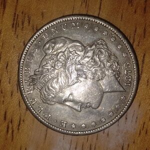 Morgan Silver Dollar 1878